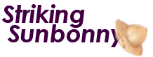 Striking Sunbonny