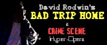 David Rodwin's Bad Trip Home
