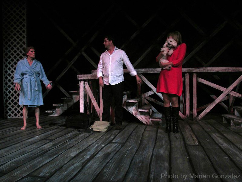 Whitney (Erin Matthews), Paul (Drew Vandiver), Rena (Tricia Pierce) and Liam (Liam).